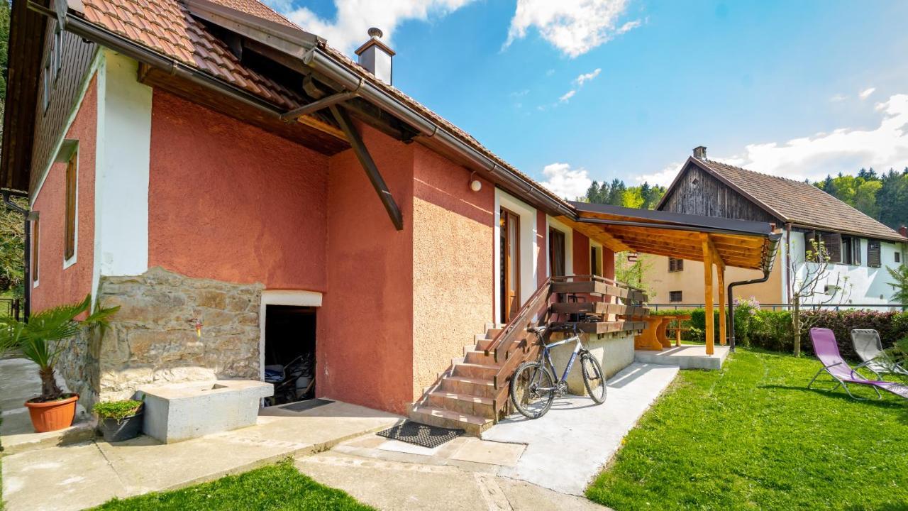 Villa Gorska Kuca Elin Brod na Kupi Exterior foto