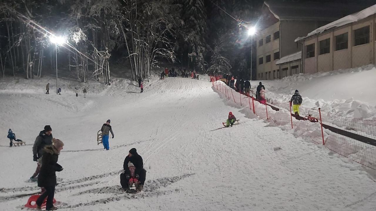 Villa Gorska Kuca Elin Brod na Kupi Exterior foto