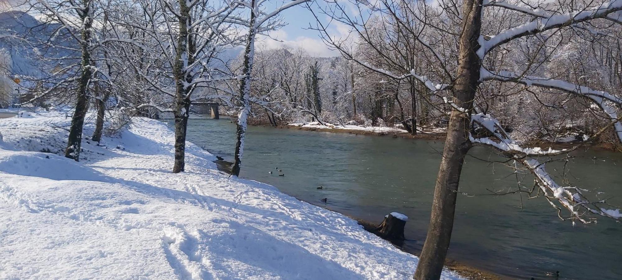 Villa Gorska Kuca Elin Brod na Kupi Exterior foto